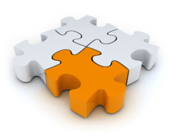 Company Profile